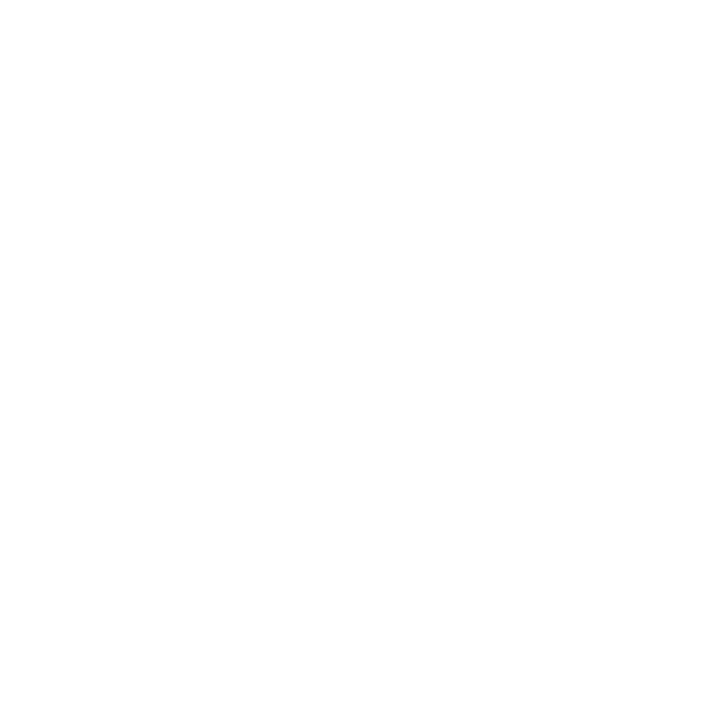 Roadvix Logo